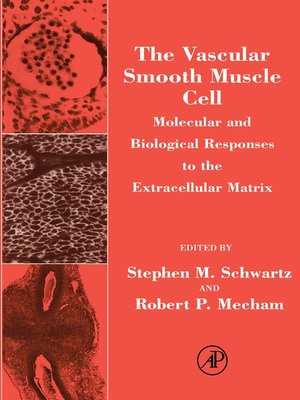 cover image of The Vascular Smooth Muscle Cell